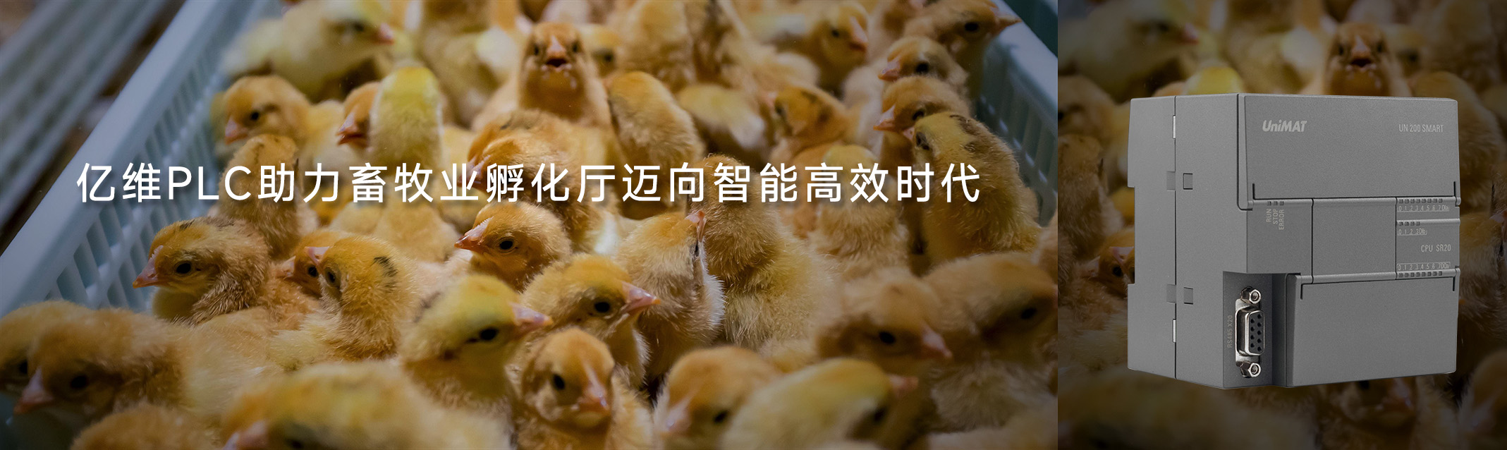 美高梅官网正网PLC助力畜牧业孵化厅迈向智能高效时代